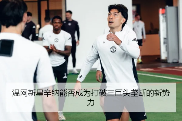 温网新星辛纳能否成为打破三巨头垄断的新势力